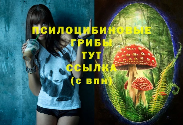 синтетический гашиш Нефтегорск