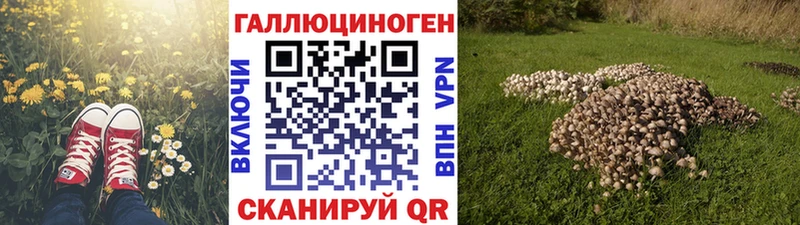Псилоцибиновые грибы Psilocybe  наркотики  Темрюк 