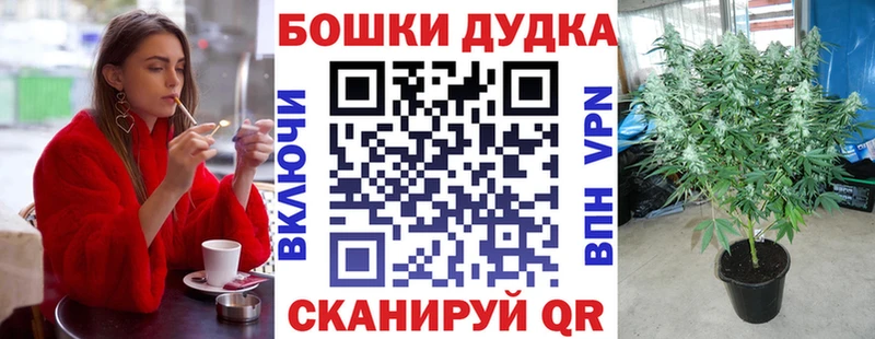 гидра рабочий сайт  купить наркотики сайты  Темрюк  Конопля гибрид 